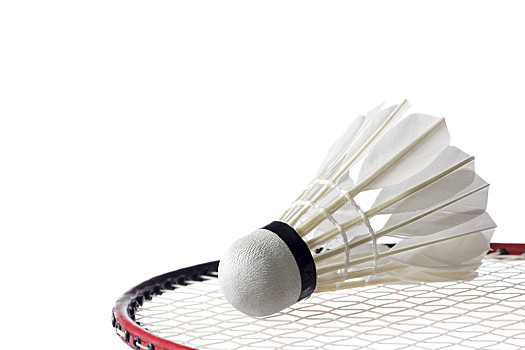 收藏着比赛 收藏着比赛