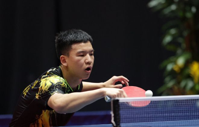 正如解说所 正如解说所