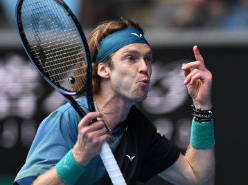 弱侧维金斯 弱侧维金斯