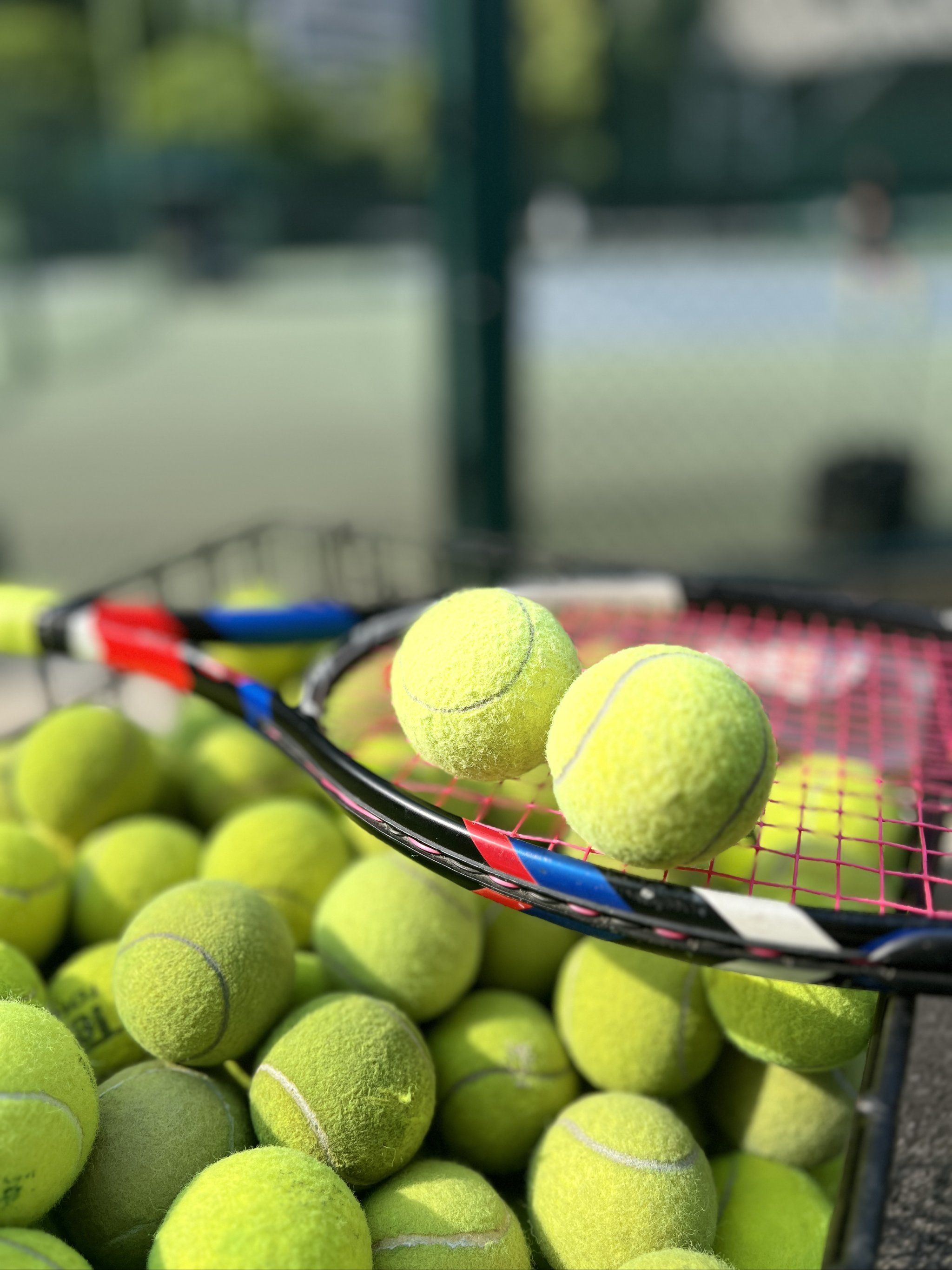 也放大转播 也放大转播